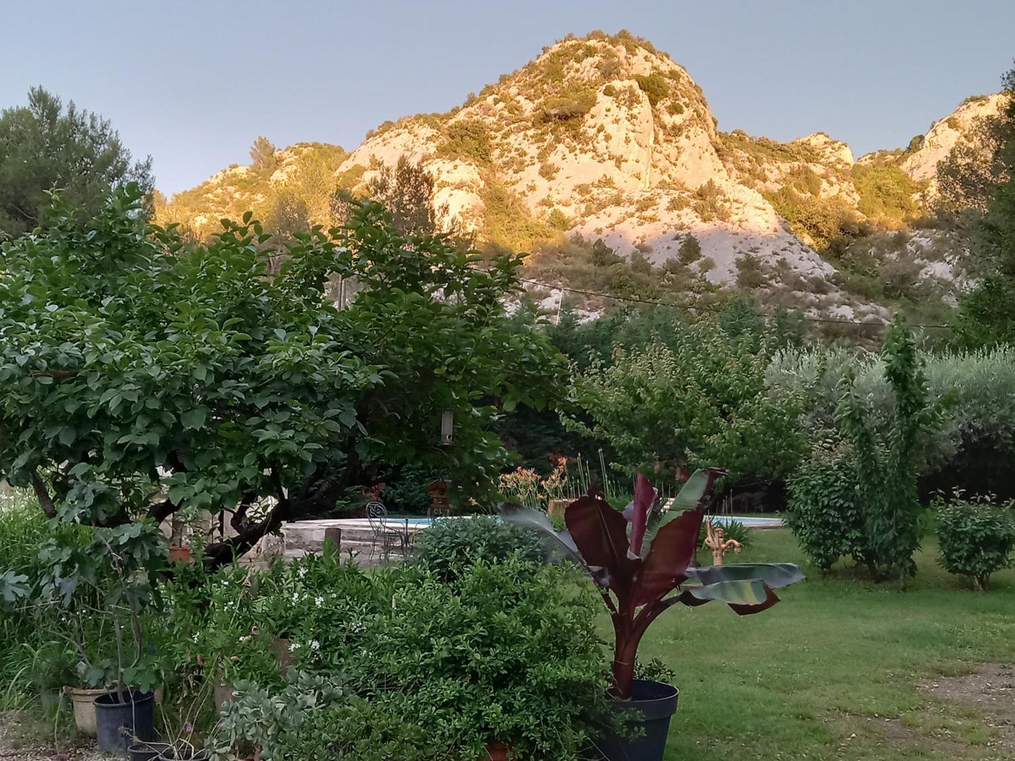 La Roulotte Du Petit Paradis Saint-Rémy-de-Provence Exterior foto