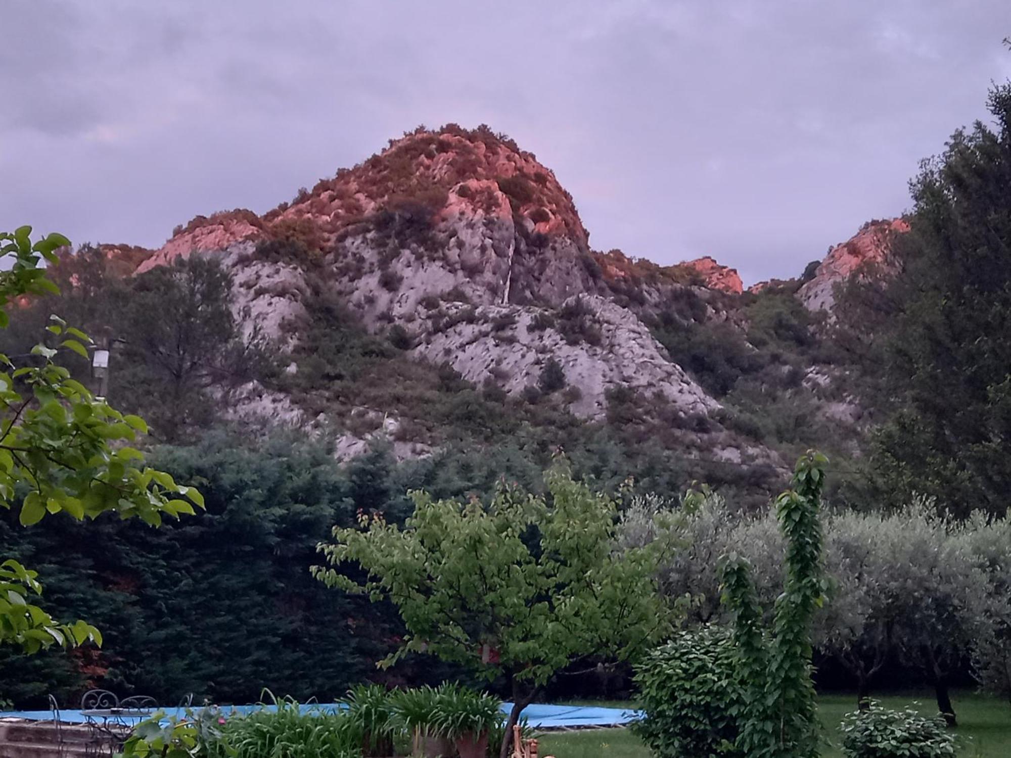 La Roulotte Du Petit Paradis Saint-Rémy-de-Provence Exterior foto