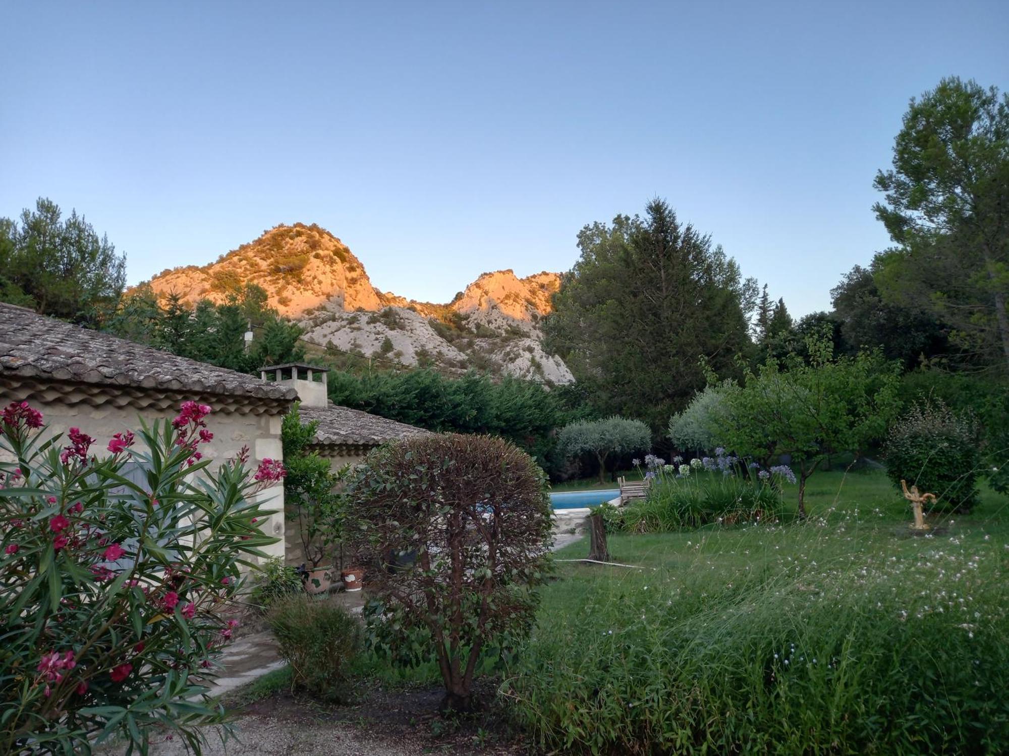 La Roulotte Du Petit Paradis Saint-Rémy-de-Provence Exterior foto