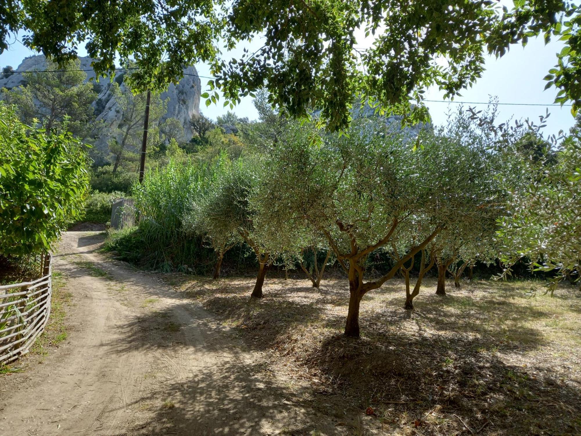La Roulotte Du Petit Paradis Saint-Rémy-de-Provence Exterior foto