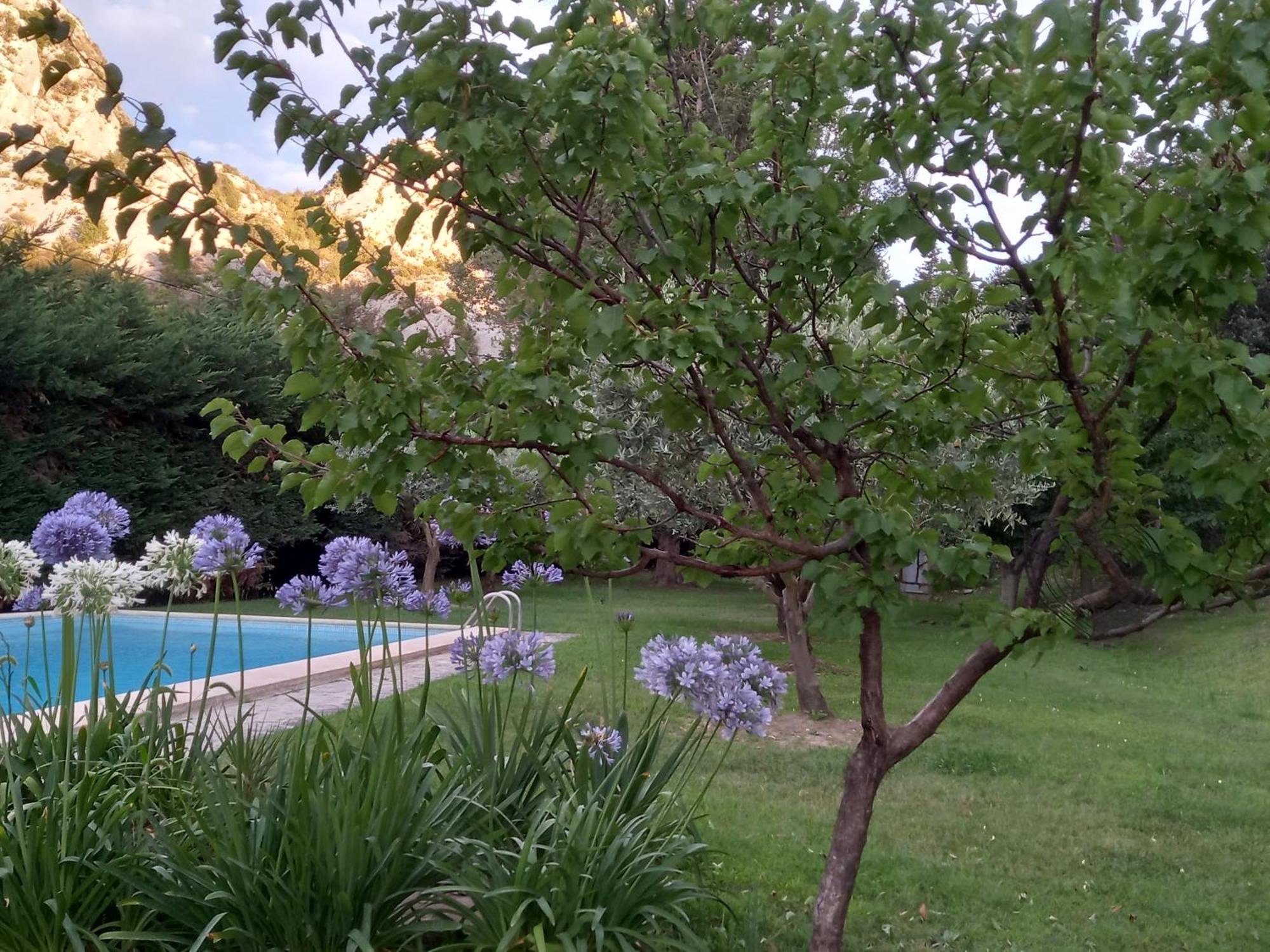 La Roulotte Du Petit Paradis Saint-Rémy-de-Provence Exterior foto